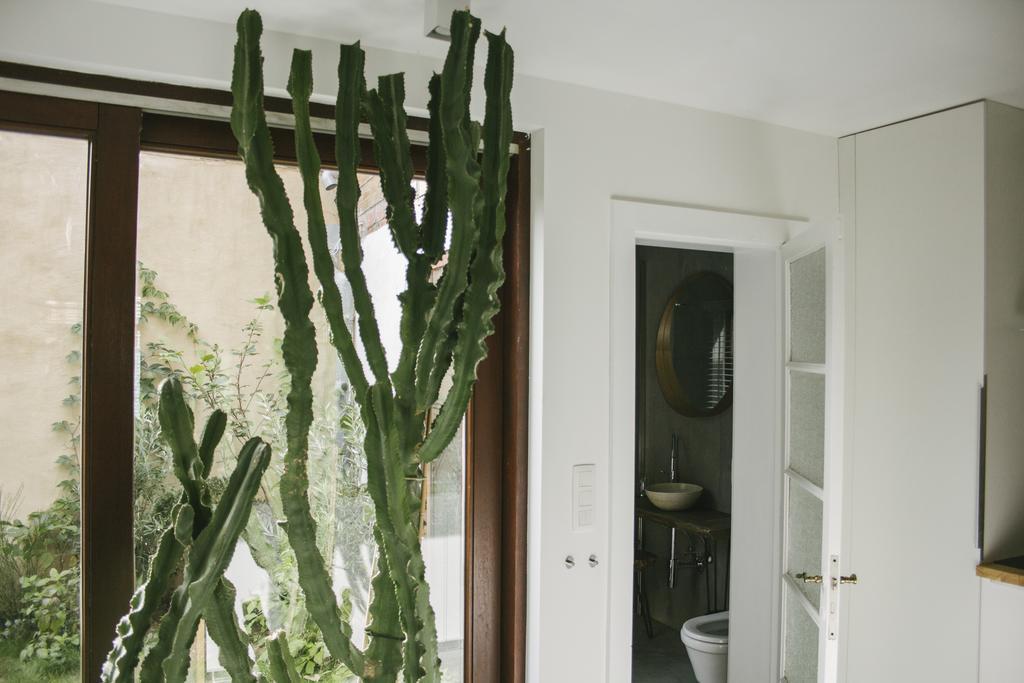 Csar Private Guesthouse Μπριζ Εξωτερικό φωτογραφία